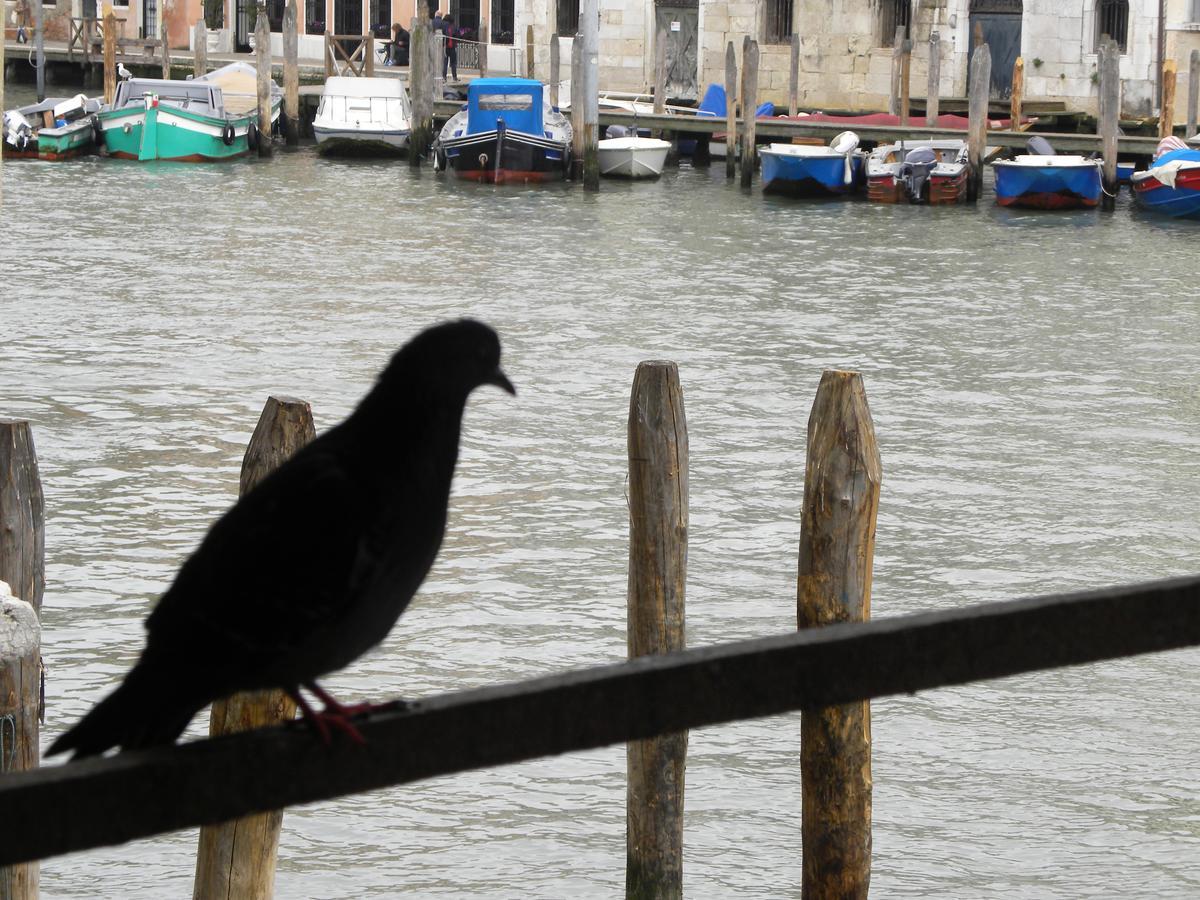 La Felice Canal Grande Venice Exterior photo